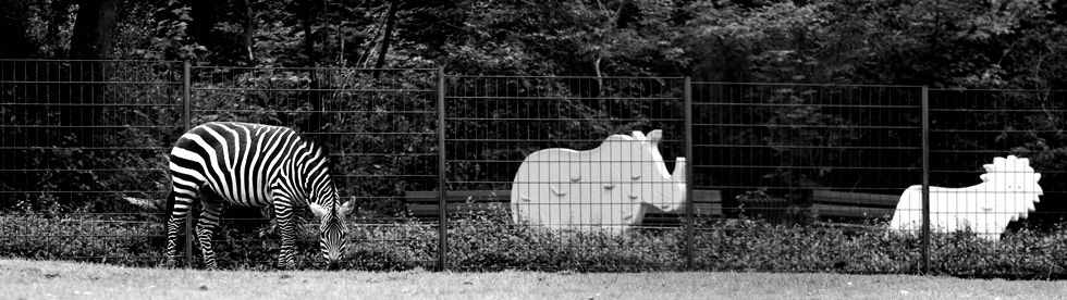 Safari penjalice za djecu dopunili su ponudu zoološkog vrta!